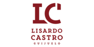 https://www.afgrafico.com/wp-content/uploads/logos-clientes-lisardo600.png